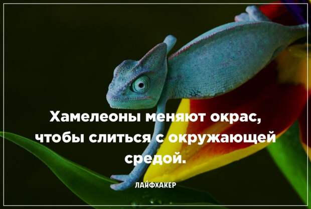 Невероятные научные факты