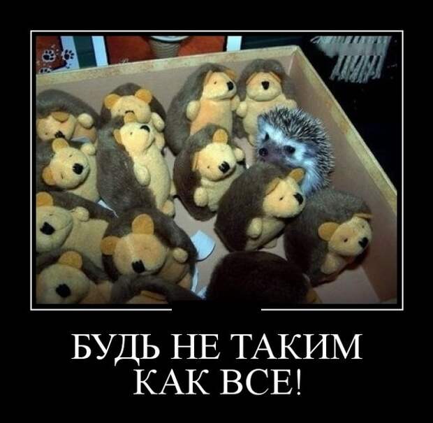 Демотиваторы - 999 Демотиваторы - 999