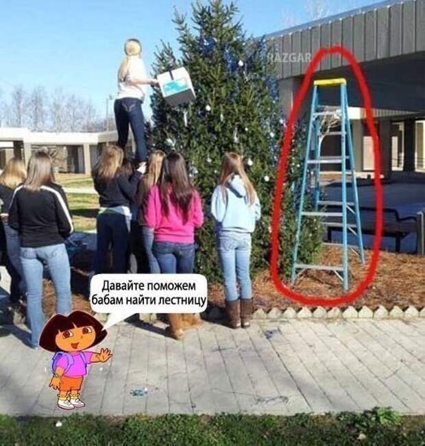 Картинки, юмор, приколы