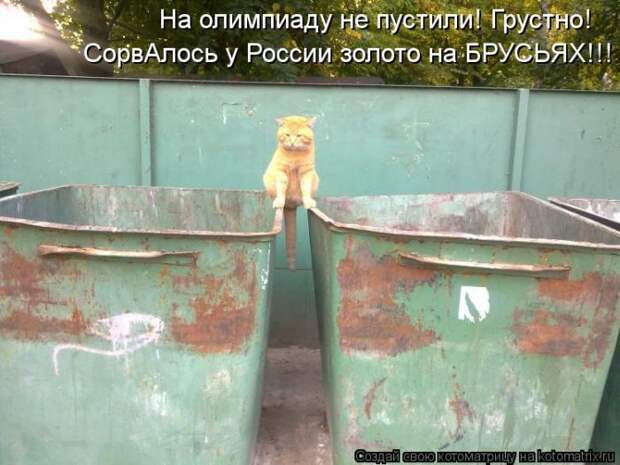 Лучшие котоматрицы недели (50 фото)