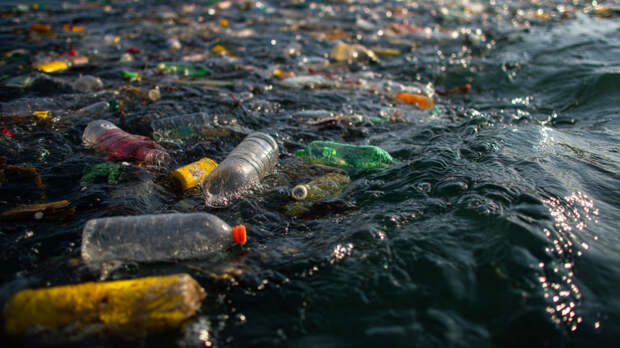 ИИ поможет очистить от мусора моря Арктики