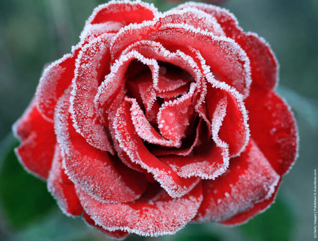 Early Morning Frost In Knutsford As Temperatures Fall Around The UK