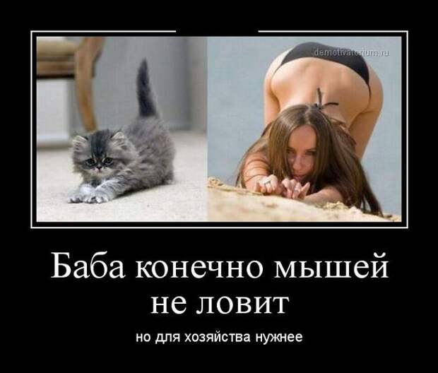 Сборник демотивационных приколов Сборник демотивационных приколов