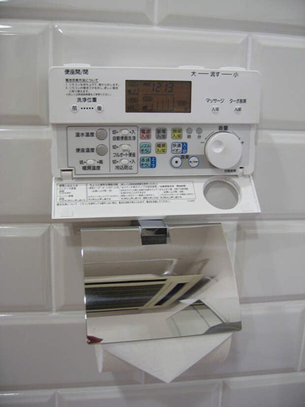 japan_hi-tech_toilets_05 (375x500, 75Kb)