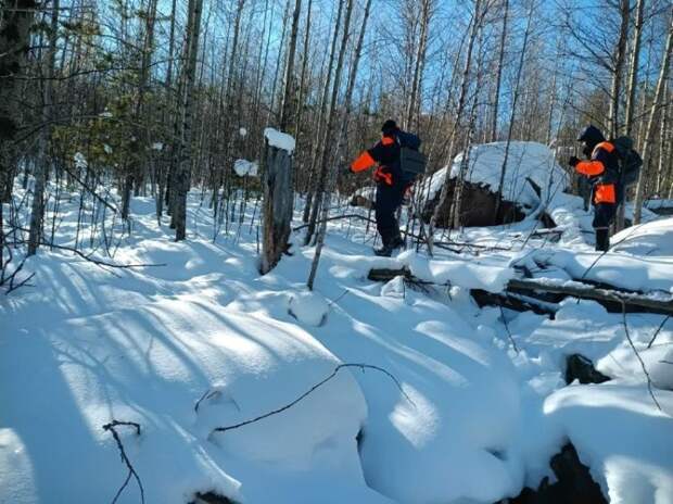Срочно! Спасатели сообщили о результатах вчерашних поисков семьи Усольцевых по запросу Следкома