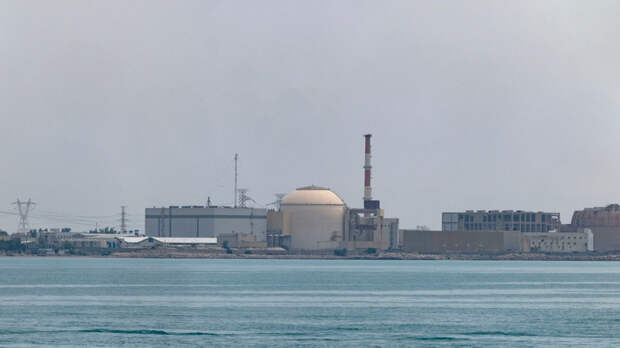 Посольство: 175 эвакуированных сотрудников АЭС «Бушер» вылетели в Москву