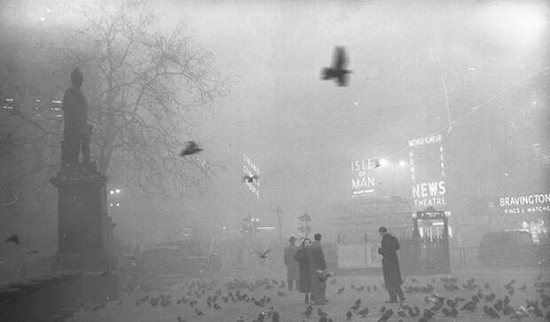 В холодную ночь на 5 декабря 1952 года, ужасный смог накрыл столицу Великобритании целиком