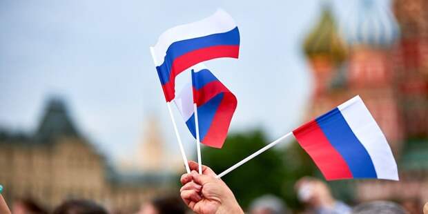 Иностранные наблюдатели высоко оценили организацию референдумов в Москве