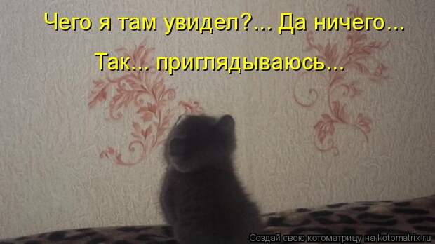 Котоматрица - Чего я там увидел?... Да ничего... Так... приглядываюсь...