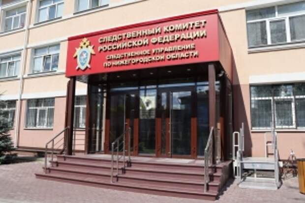 Глава ведомства затребовал доклад о результатах расследования уголовного дела по факту смерти ребенка в медицинском учреждении Нижнего Новгорода