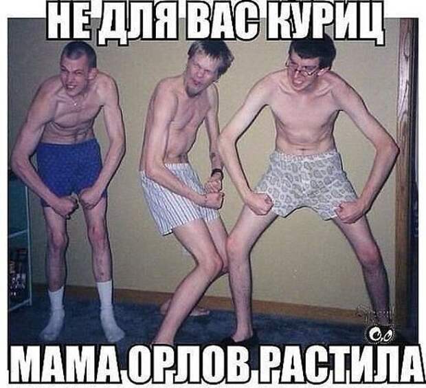 Картинки со смешными подписями