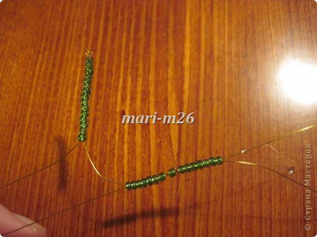 img_5006_0 (520x390, 50Kb)