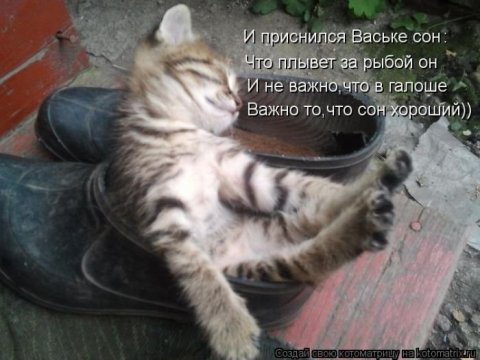 Котоматрицы