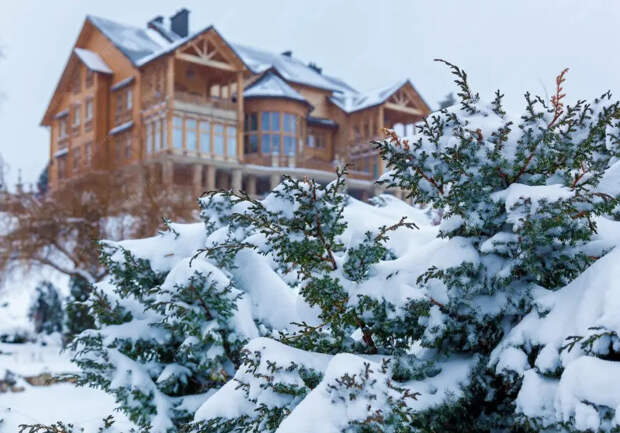 Zivert могут оштрафовать за самозахват земли в Красногорске