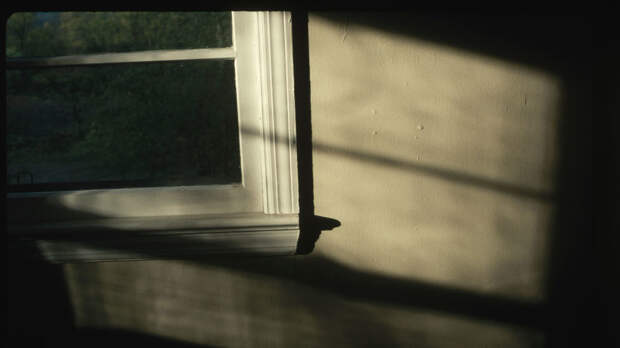 В Петербурге прокомментировали случаи выпадения детей из окон