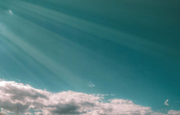 Ученые: Бактерии перемещаются между планетами на астероидах