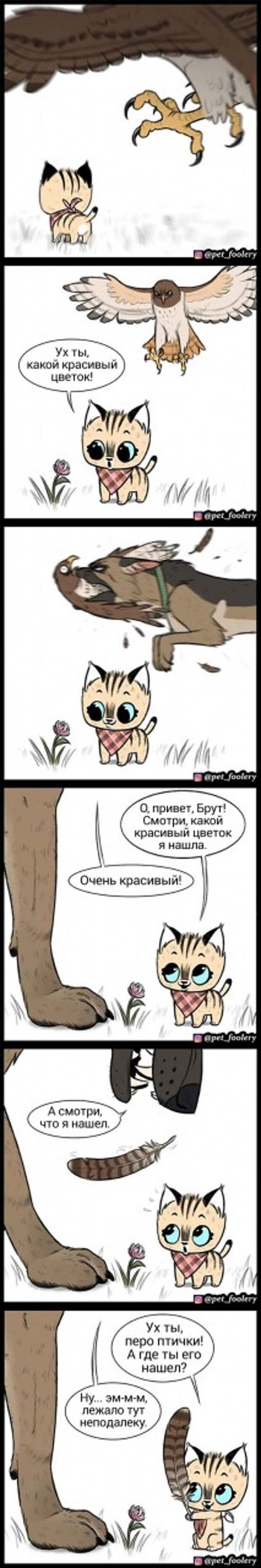 Художник рисует комиксы о дружбе милого котенка и брутальной овчарки, и они никого не оставят равнодушными