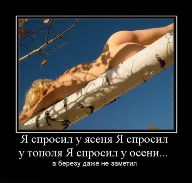 Демотиваторы Демотиваторы