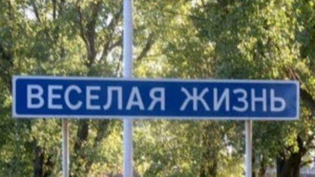 Веселая жизнь