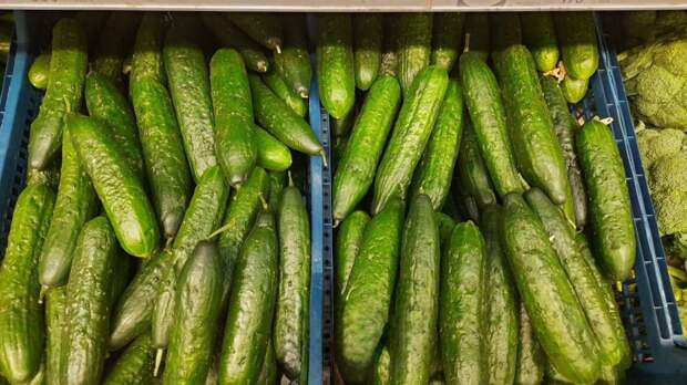 Цена на огурцы в Донецке