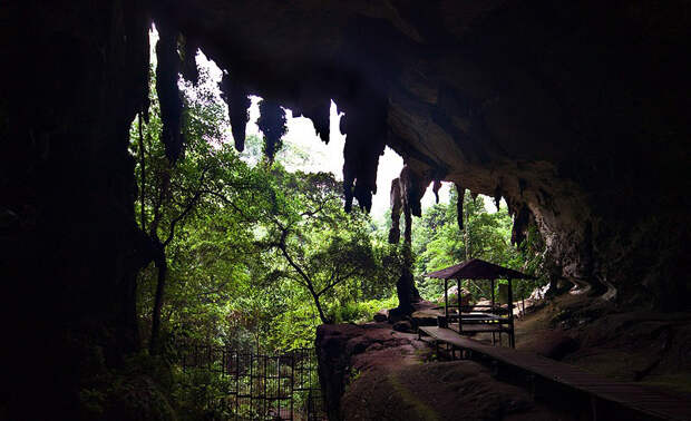 Пещера. остров Калимантан. Фото