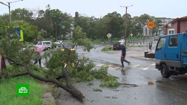 Супертайфун «Майсак» принес в Приморье затяжные ливни и ураганный ветер