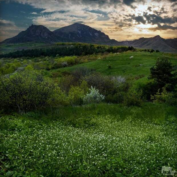 00812 Лучшие фотографии России 2011. Номинация “Природа”