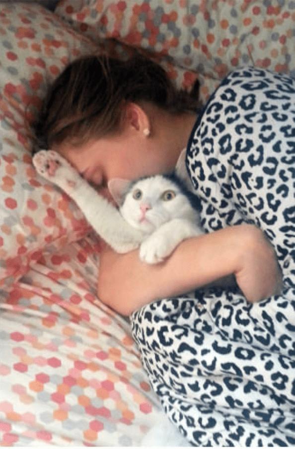 Котейки, которые терпеть не могут эти ваши поцелуйчики