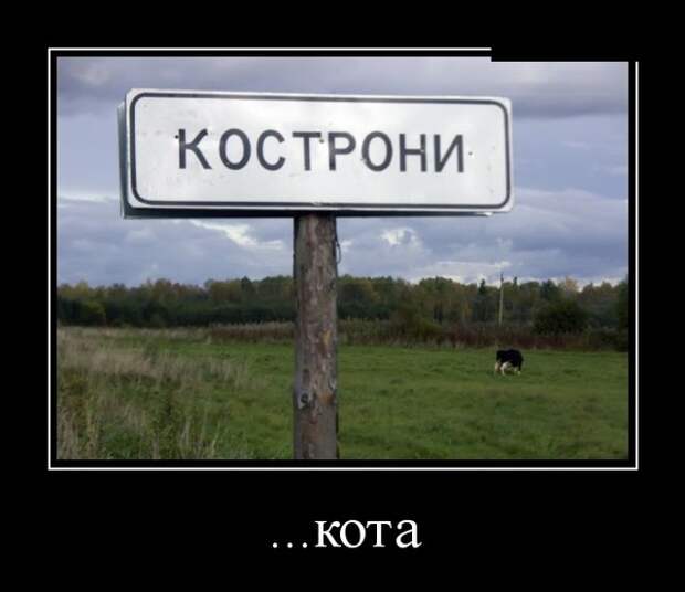 Демотиваторы (30 фото)