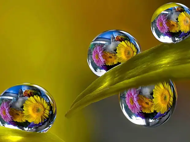 Закон ощущения, моделирования другого - это закон развития человека