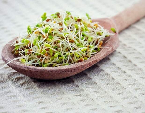 Проростки льна - ваш личный гастроэнтеролог