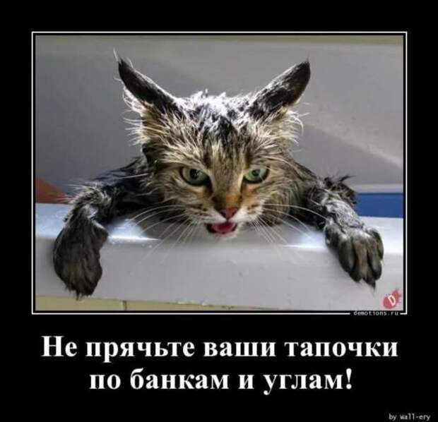 Прикольные демотиваторы с надписями. Подборка chert-poberi-dem-chert-poberi-dem-09310421092020-11 картинка chert-poberi-dem-09310421092020-11
