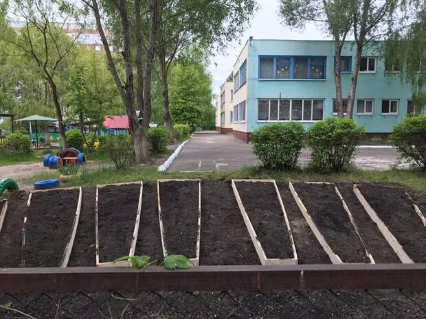 Клумбы в детском саду