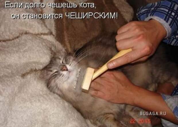 Веселая подборка (10 фото)