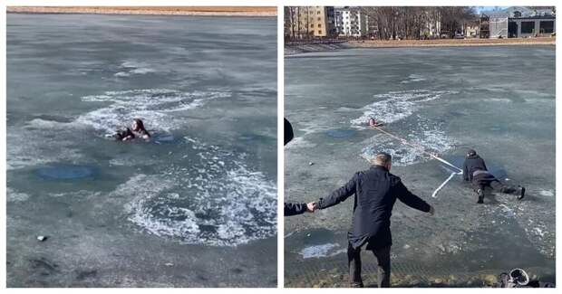 Житель Вологды пытался спасти тонущего пса и едва не ушел под лёд