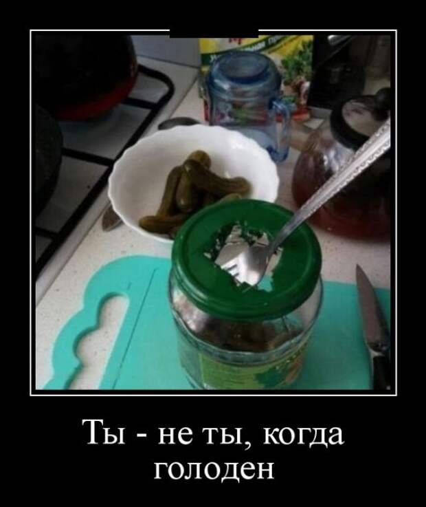 Демотиваторы (30 фото)
