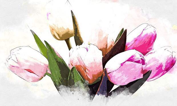 К 8 марта «Спецавтобаза» предложит 18 сортов тюльпанов