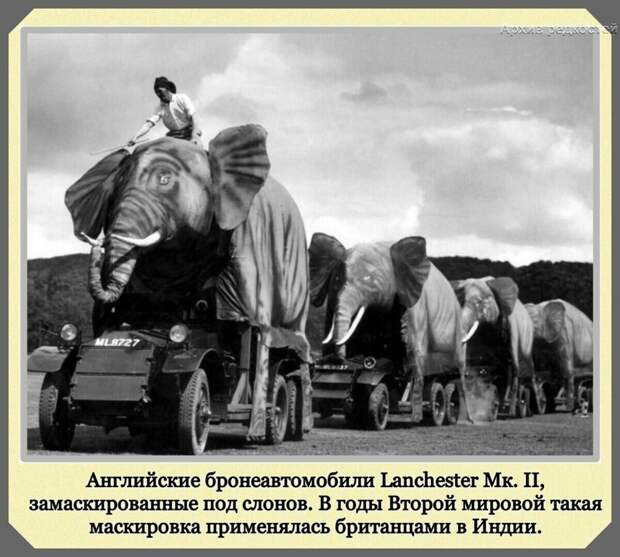 Фотографии с богатым историческим прошлым со всего мира