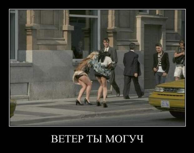 Демотиваторы,  разные но все прикольные.