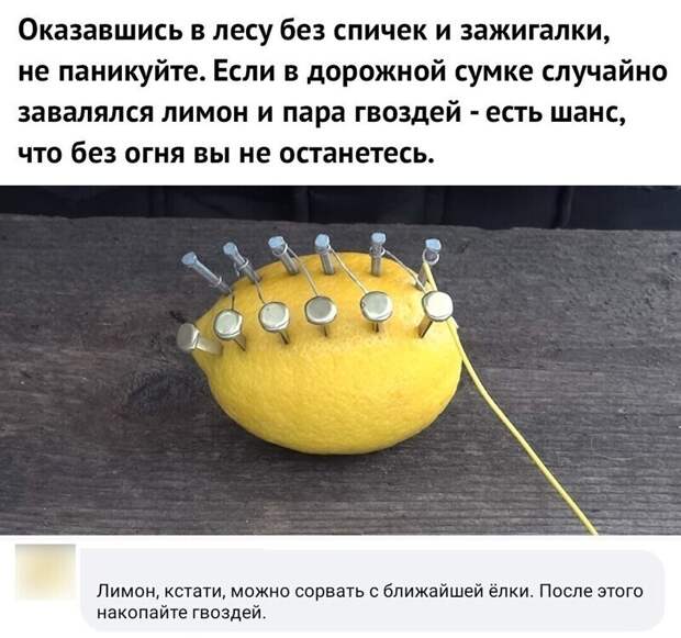Абсурдность зашкаливает Абсурдность зашкаливает