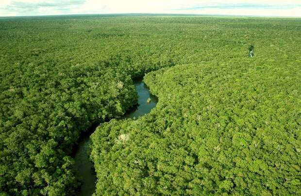 Amazonas01 Большое фотопутешествие по лесам Амазонки