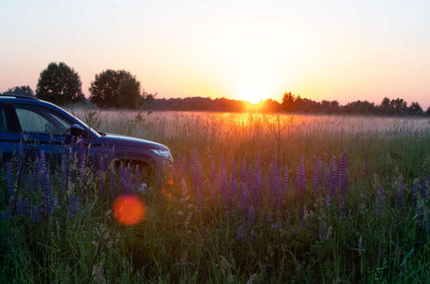 В МВД назвали срок регистрации машины после покупки