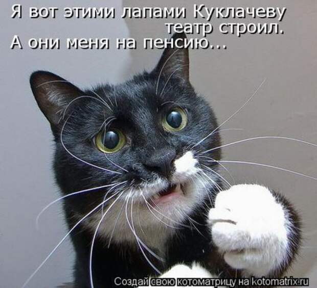 Котоматрицы