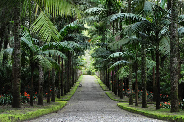 NewPix.ru - Вулканические чудеса Азорских островов