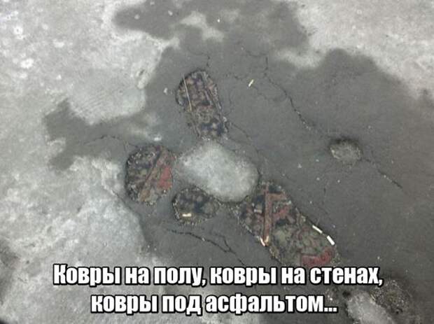 Подборка картинок. Вечерний выпуск (24 фото)