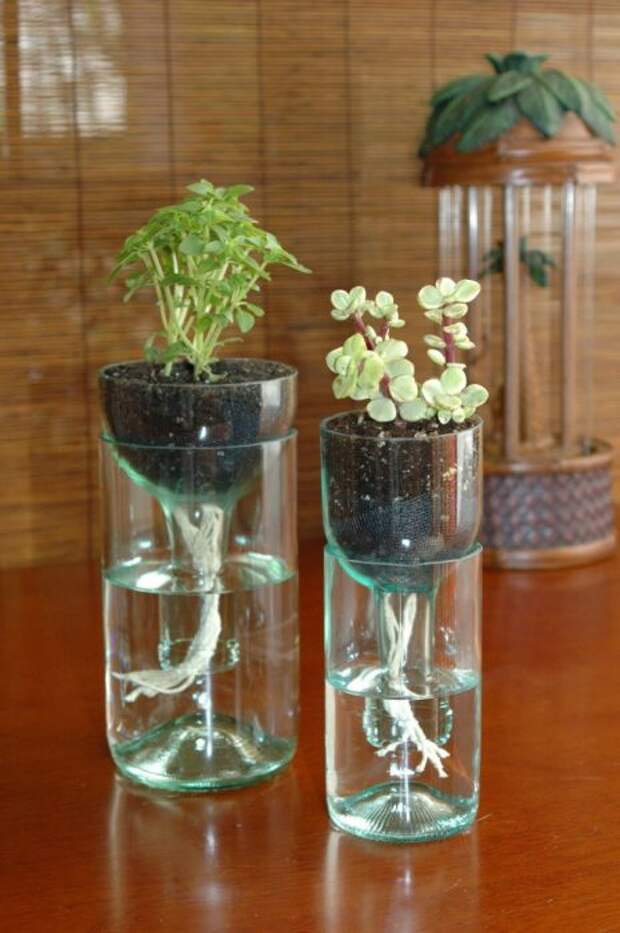 Кашпо из стеклянных бутылок с уникальной системой автоматической поливки растений. 