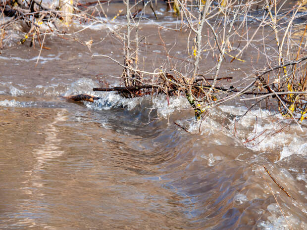 25 населенный пунктов Самарской области под угрозой подтопления этой весной