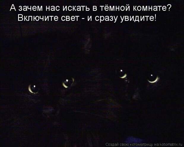 Новые котоматрицы с классным задором (30 фото)