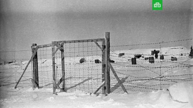 СК допросит более тысячи узников нацистских лагерей по делу о геноциде