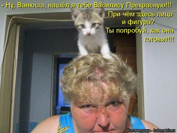 Лучшие котоматрицы недели (50 фото) Лучшие котоматрицы недели (50 фото)